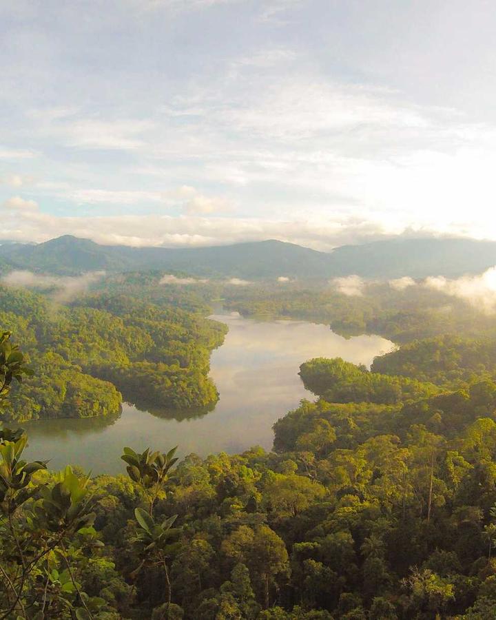 Paisaje de montañas, bosque y agua visto desde una comunidad